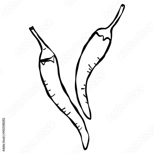 A black and white illustration of hot chili peppers