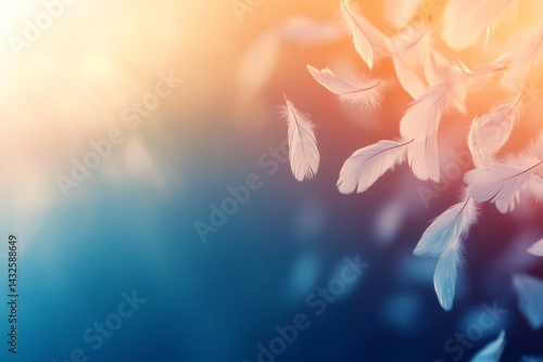 Delicate white feathers float serenely in soft light, capturing a sense of tranquility and beauty as they move through the air, creating an ethereal atmosphere