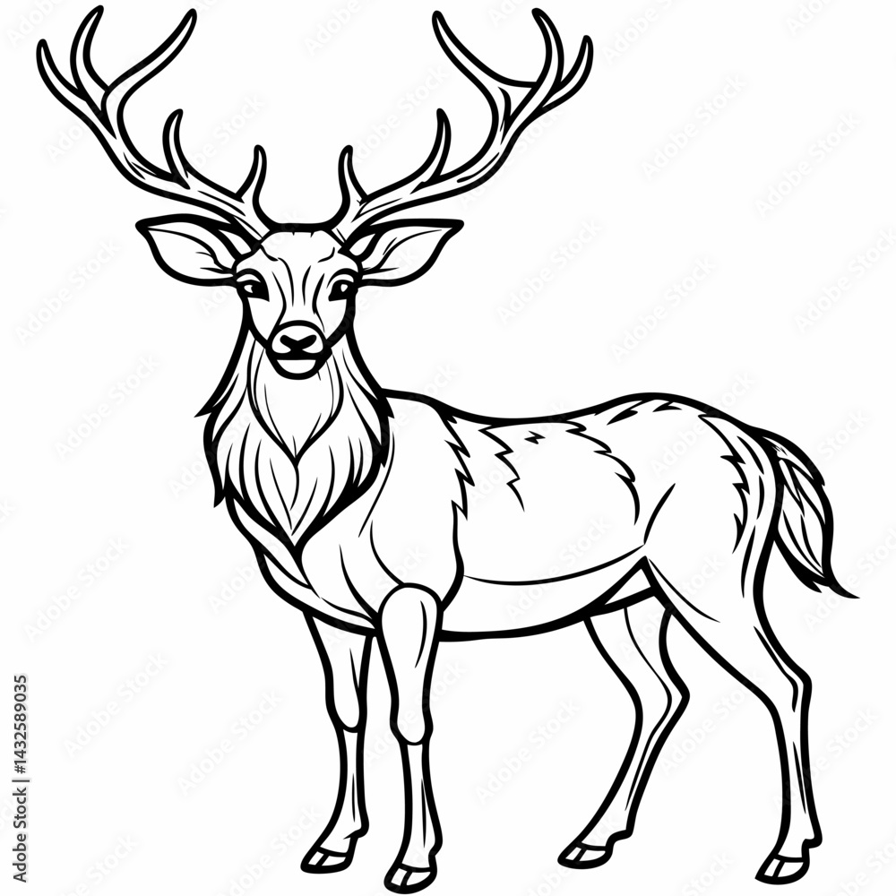 Black and White Line Art Illustration of a Deer with Antlers Black and White Line Art Illustration of a Deer with Antlers