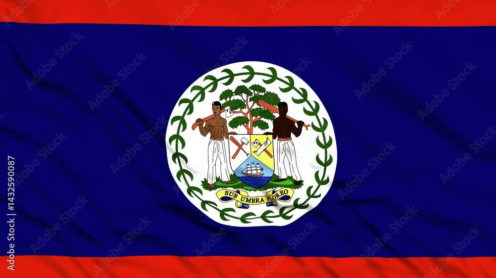 National flag of Belize. Seamless flag of Belize waving in the wind