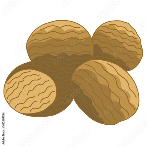 This illustration depicts several nutmeg seeds. The nutmegs are round to oval in shape with a textured