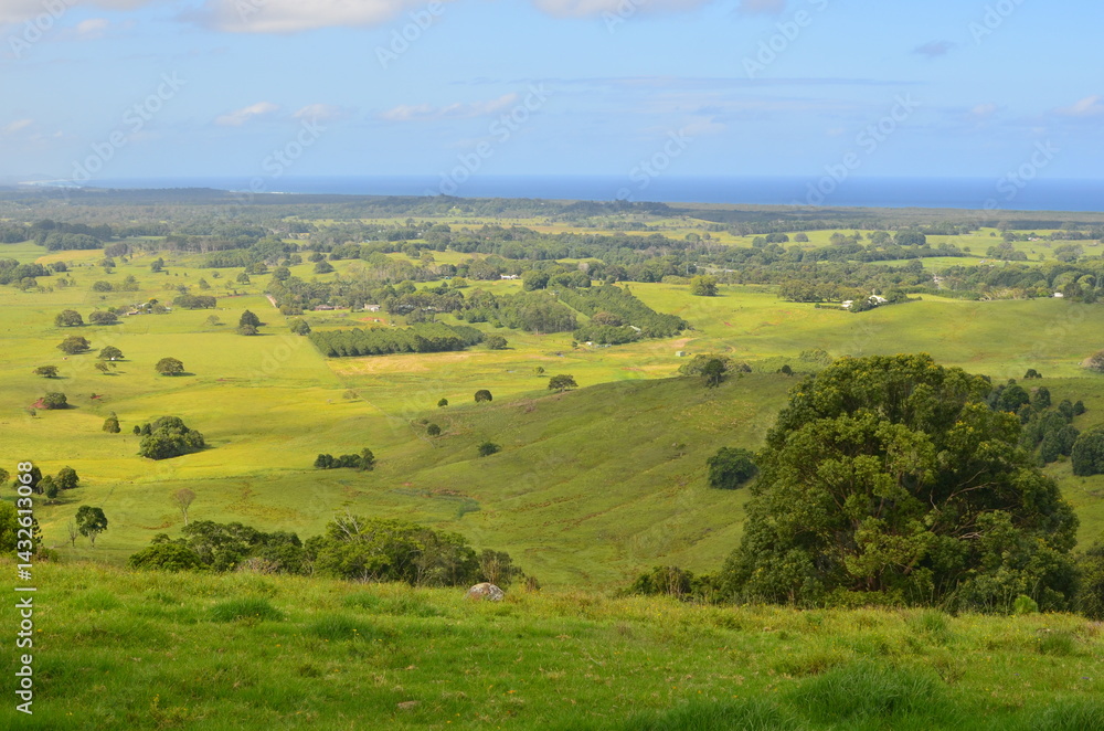Fototapeta premium 大草原