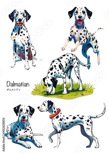 ダルメシアンの水彩画イラストセット