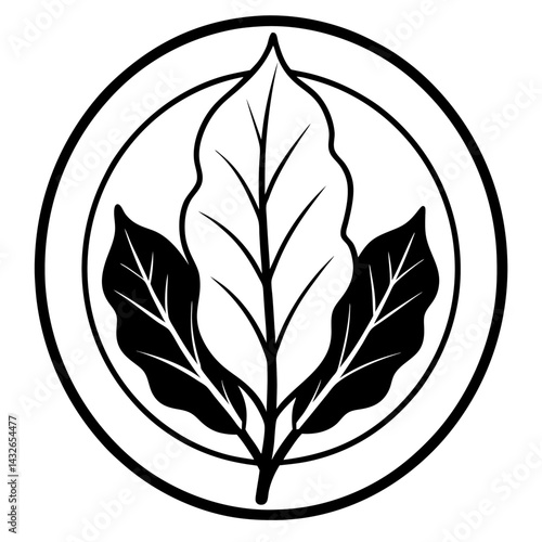 Vector silhouette of a patch of spinach with broad leaves 