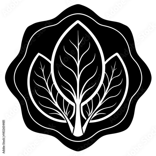 Vector silhouette of a patch of spinach with broad leaves 