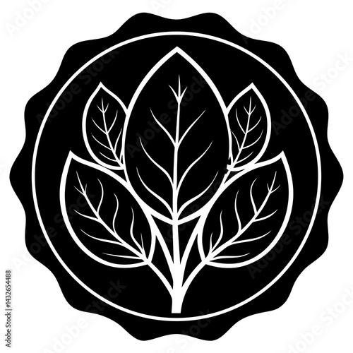 Vector silhouette of a patch of spinach with broad leaves 