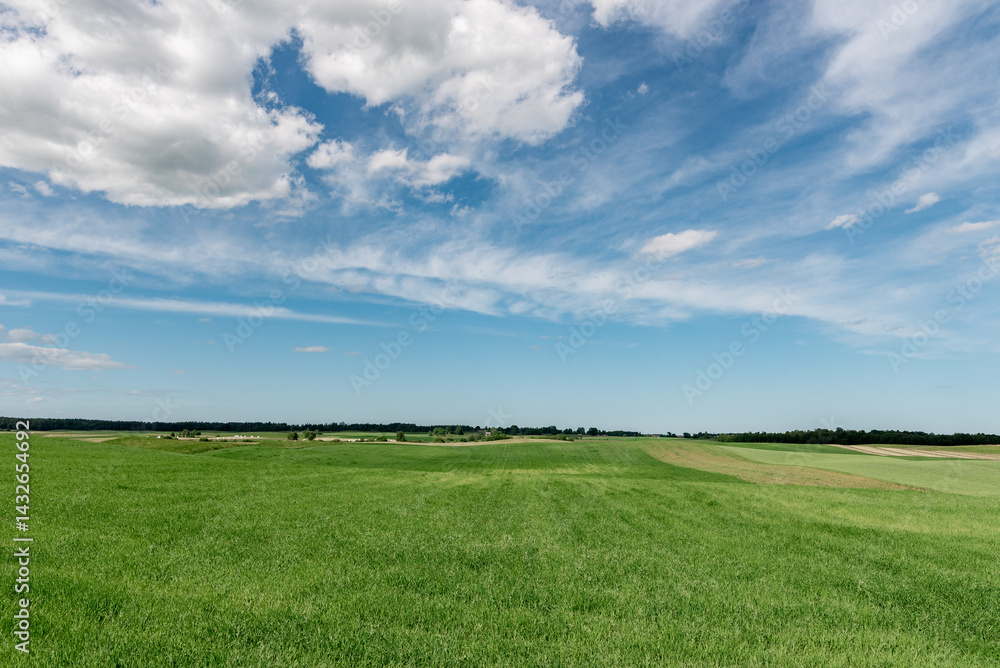 Fototapeta premium Expansive Green Field Under a Blue Sky With White Clouds