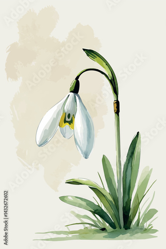 Snowdrop flower in watercolor. Isolated delicate spring flower for soft seasonal compositions.