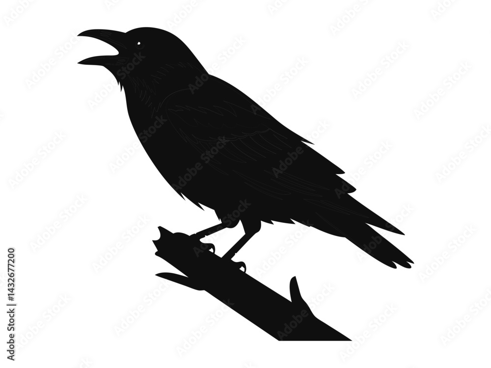 Fototapeta premium Crow on a branch silhouette vector illustration