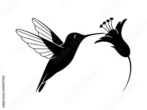 Hummingbird drinking nectar  flower silhouette vector illustration