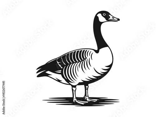 
Canada goose standing silhouette vector illustration 