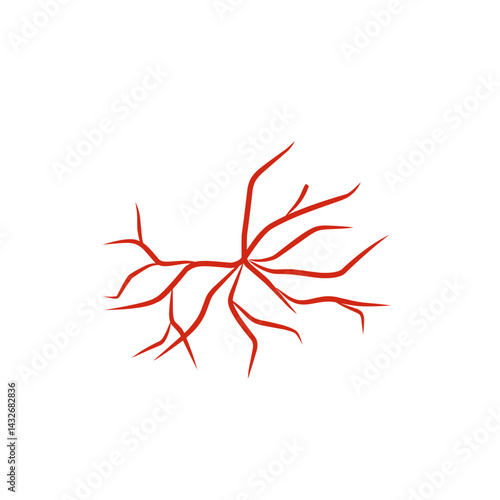 illustration of human blood vessels