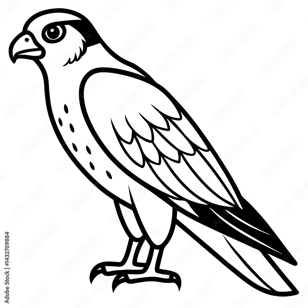Fototapeta premium Minimalist Falcon Line Art Vector
