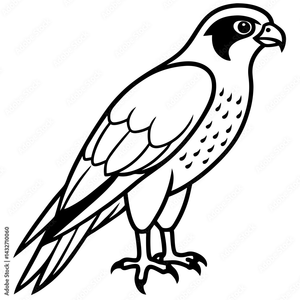 Fototapeta premium Minimalist Falcon Line Art Vector