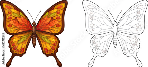 Butterfly Coloring Page: A beautifully illustrated butterfly with vibrant orange and yellow wings, perfect for coloring and creative expression.