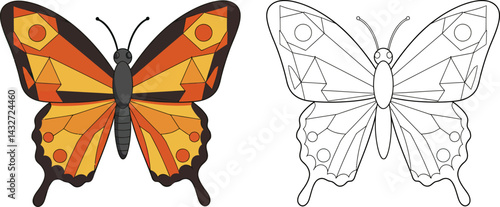 Butterfly Duo: An exquisite, stylized butterfly, with a vibrant color palette and intricate details, sits beside its delicate line drawing counterpart, showcasing the beauty of both form and design.