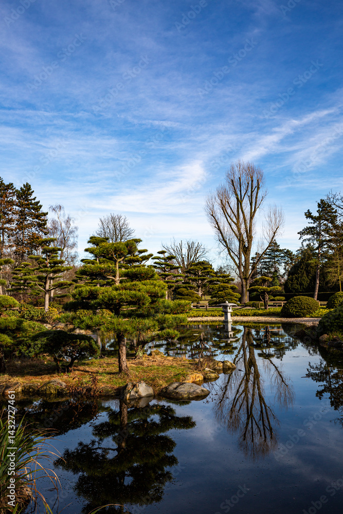 Landscape with lake and trees in park