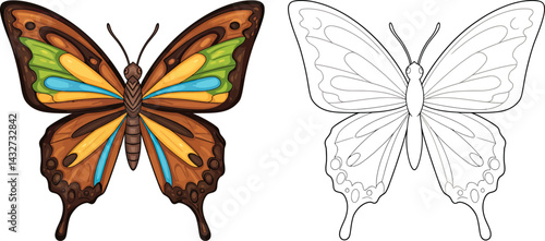 Butterfly Art: An artistic illustration of a vibrant butterfly, showcasing its intricate wing patterns in both color and outline, perfect for creative projects.
