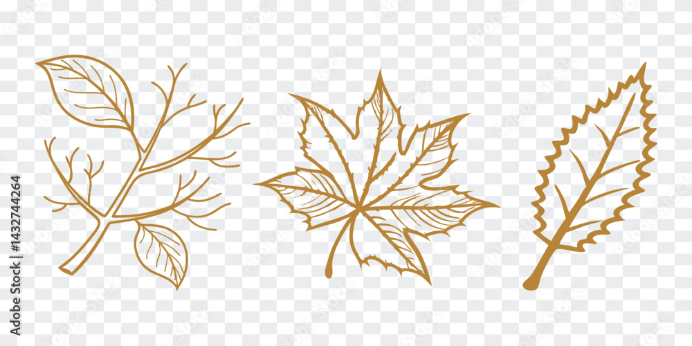 Gold outline vector leaves set with transparent background. Includes maple, nettle, and branch leaf designs for autumn, botanical, or elegant nature-themed projects. Clean, editable graphics.