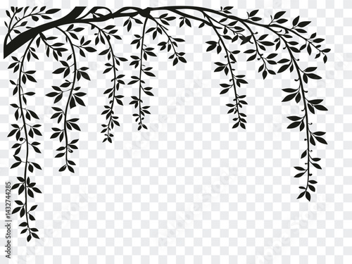 Elegant black willow branch silhouette with hanging leaves on transparent background. Perfect for nature-themed designs, invitations, or decorative borders. Vector format included.