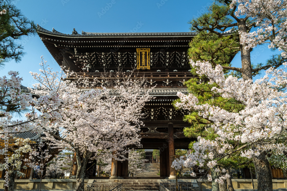 Konkai komyo-ji temple during the sakura season in Kyoto