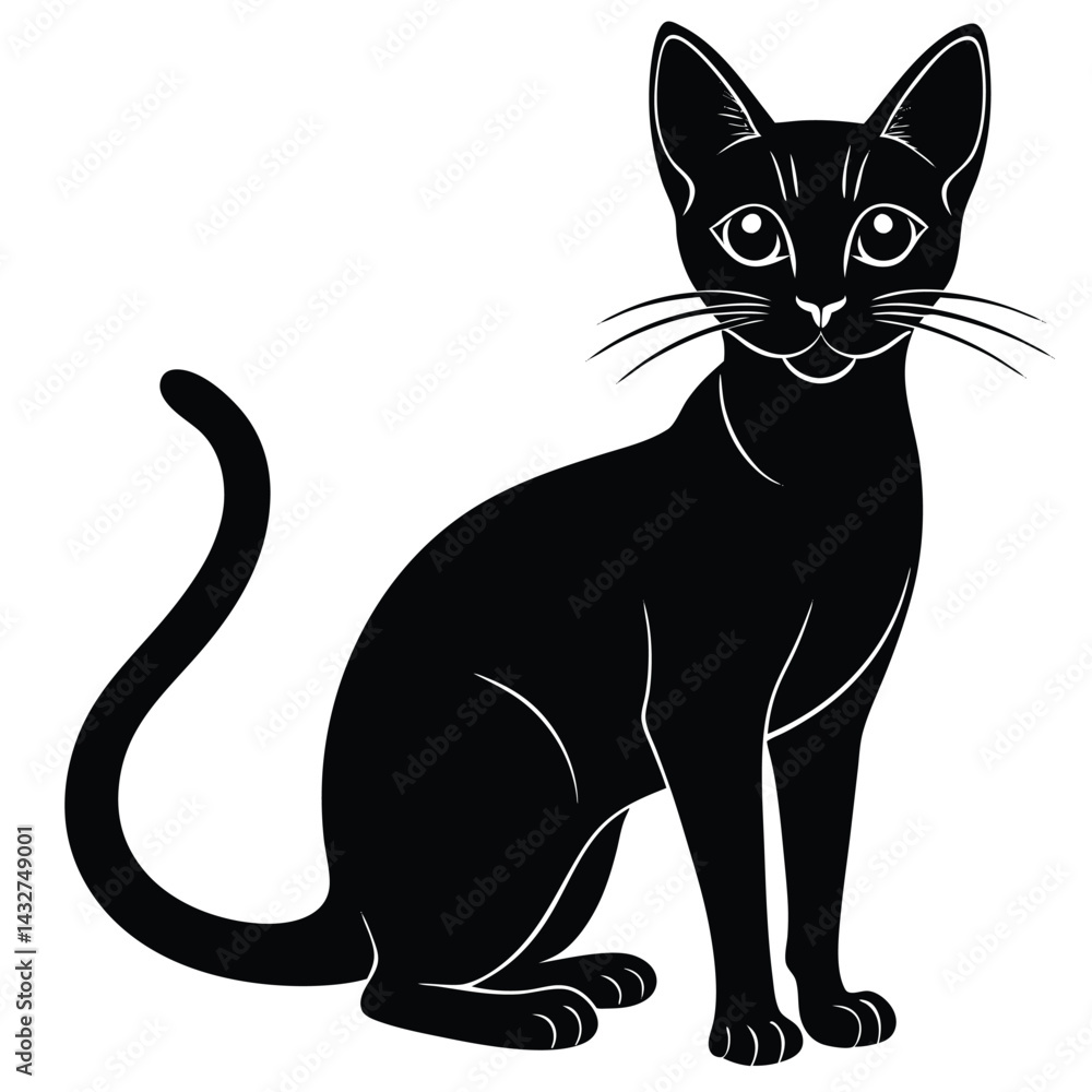 Fototapeta premium abyssinian vector animal