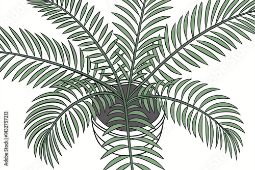 50 tropical palm fronds, top-down view, vibrant green leaves, radiating pattern, botanical illustration, detailed leaf texture, symmetrical composition, indoor plant, natural light, white background, 