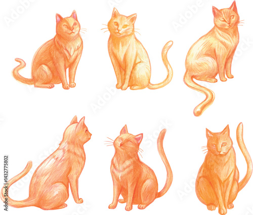 Realistic orange cats situet hand drawing pencil vector illustration set