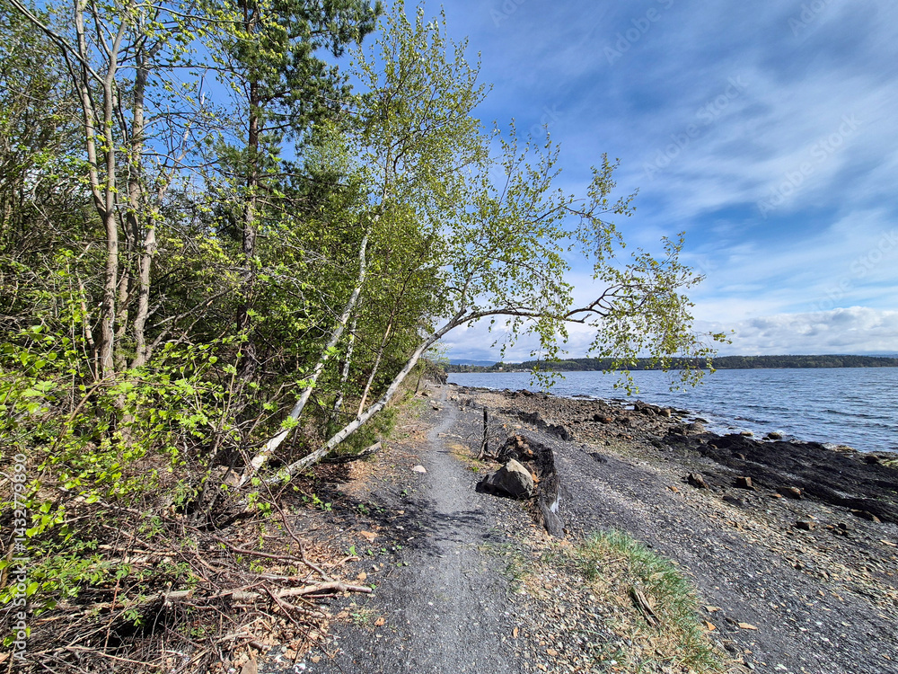 Coastline