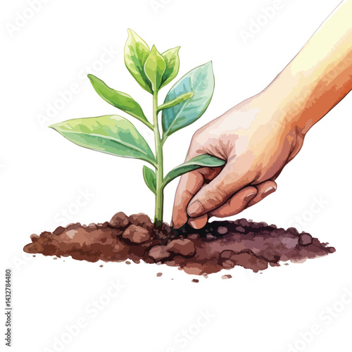 close up of a hand planting a seedling cute watercolors illustration on white background