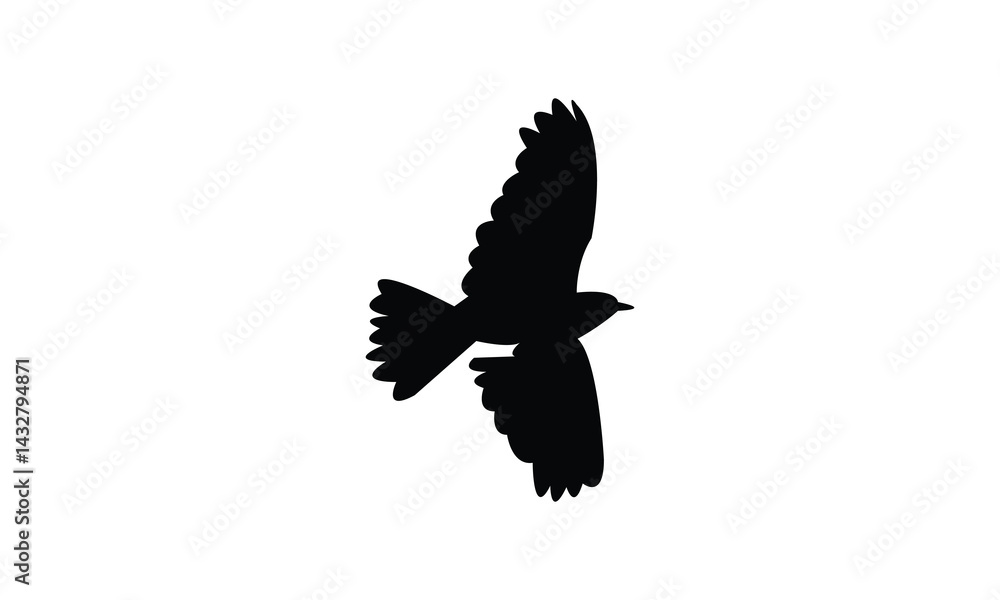Obraz premium African rock pipit bird Silhouette Design And Vector Illustration. 