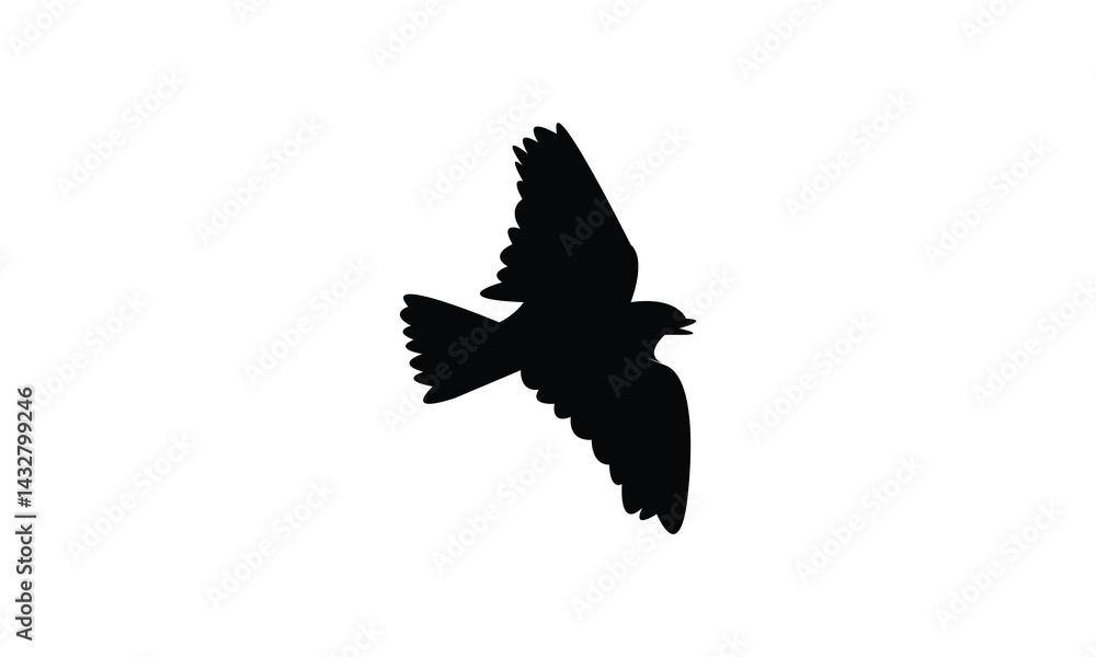 Obraz premium African rock pipit bird Silhouette Design And Vector Illustration.