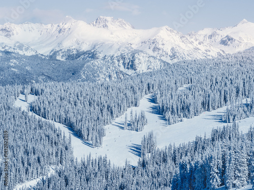 Aerial view of a Snow covered mountain landscape with evergreen trees, Vail, Colorado, USA