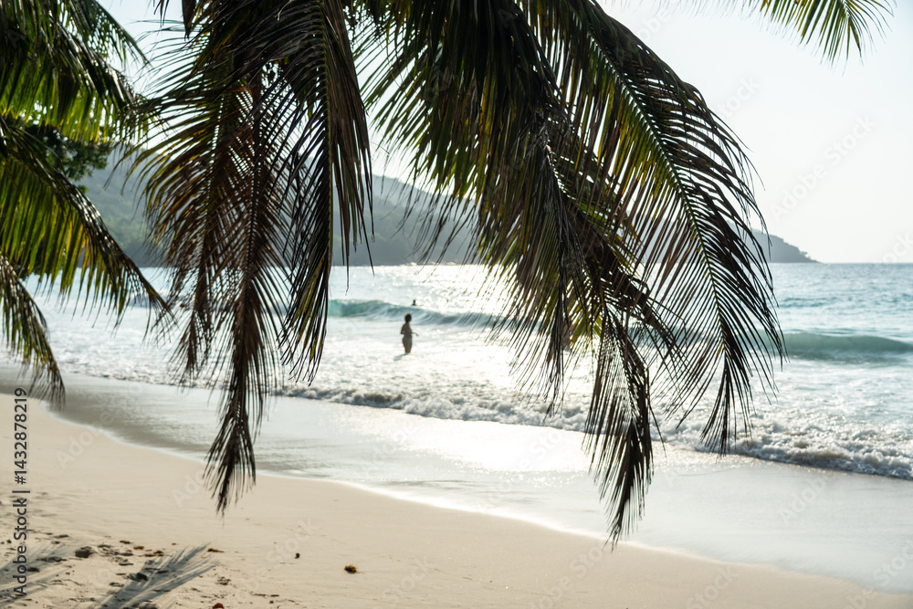 Tropical beach view with palm fronds framing a person in the ocean under soft sunlight