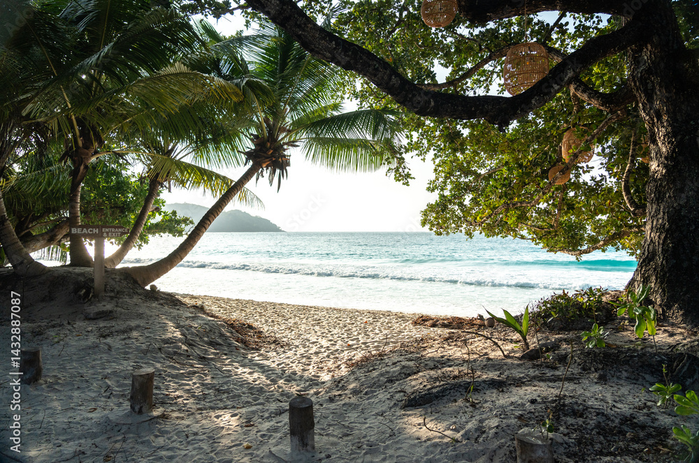 Shaded path with palm trees leading to Anse Lazio beach on Seychelles island, showing sandy shore