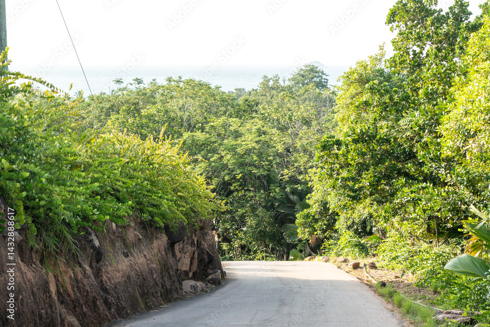 Tropical road through dense greenery leading toward Anse Lazio beach on Seychelles