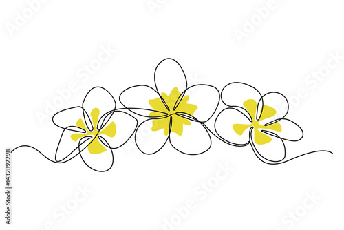 Continuous single-line art drawing of plumeria flowers. Decorative plumeria flowers line art background