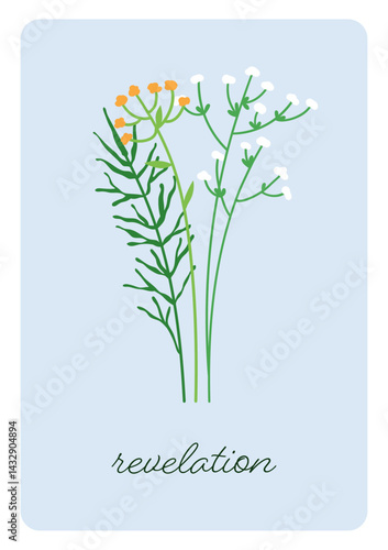 Floral card with wildflowers. Natural botanical poster design. Field herbs, meadow plants, gentle delicate flower blooms, thin fragile branches, vertical framed background. Flat vector illustration