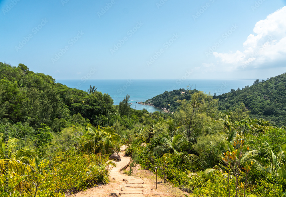 Tropical trekking trail in Fond Ferdinand Nature Reserve on Praslin Island, Seychelles