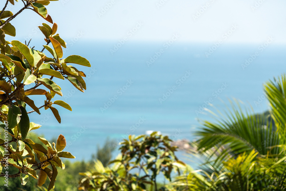 Chalta tree (Dillenia indica) leaves in the foreground with a blurred tropical ocean