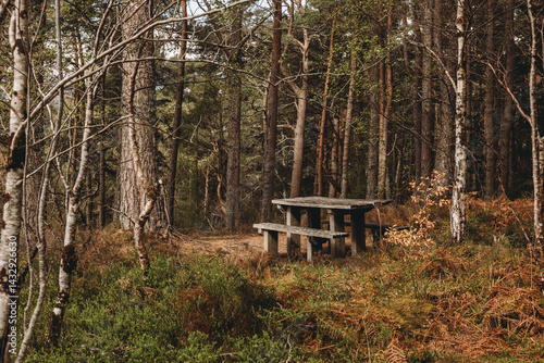 Obraz na płótnie picnic table in the woods Scotland w salonie