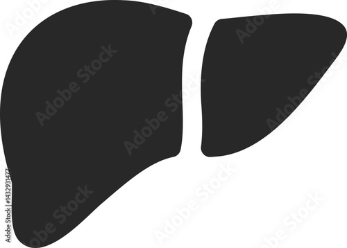 Human liver solid icon for medical and healthcare design