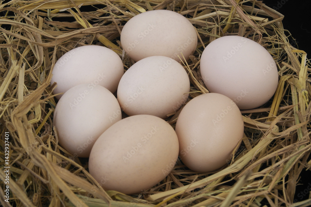 Close up of chicken eggs in nest. Close up of chicken eggs in nest.