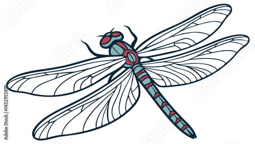 Dragonfly Line Drawing Isolated on White Background Vector