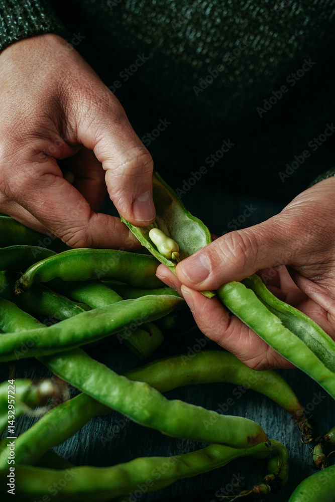 a man takes some broad beans out of its pod