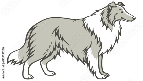 collie Line Drawing Isolated on White Background Vector