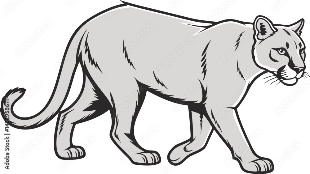 Obraz premium cougar Line Drawing Isolated on White Background Vector