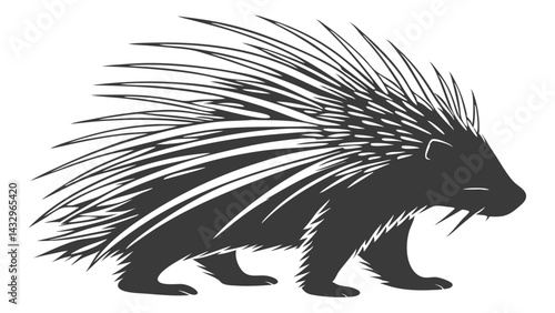 Porcupine Line Drawing Isolated on White Background Vector