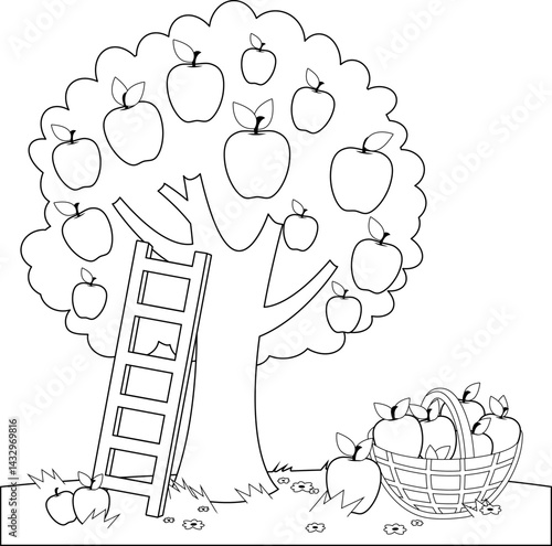 Apple tree in the garden, a ladder and a basket with harvested apples. Apple fruit picking in the farm. Orchard tree harvesting season. Vector black and white coloring page.