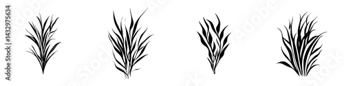 Elegant black icons of various grass types arranged in a clean, minimalist layout for design and illustration purposes